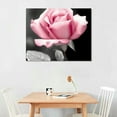 thumbnail image 2 of COMIO Pink Rose Flower Decor Wall Art Floral Paintings Prints Black and White Canvas Decoration for Bathroom Bedroom, 2 of 4