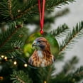 thumbnail image 3 of Red-Tailed Hawk Raptor Bird Of Prey Christmas Tree Holiday Round Ceramic Ornament, 3 of 7