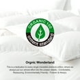 thumbnail image 3 of 100% Organic Cotton Goose Feather Down Comforter King Size 950 Fill Duvet (106x90), 3 of 9