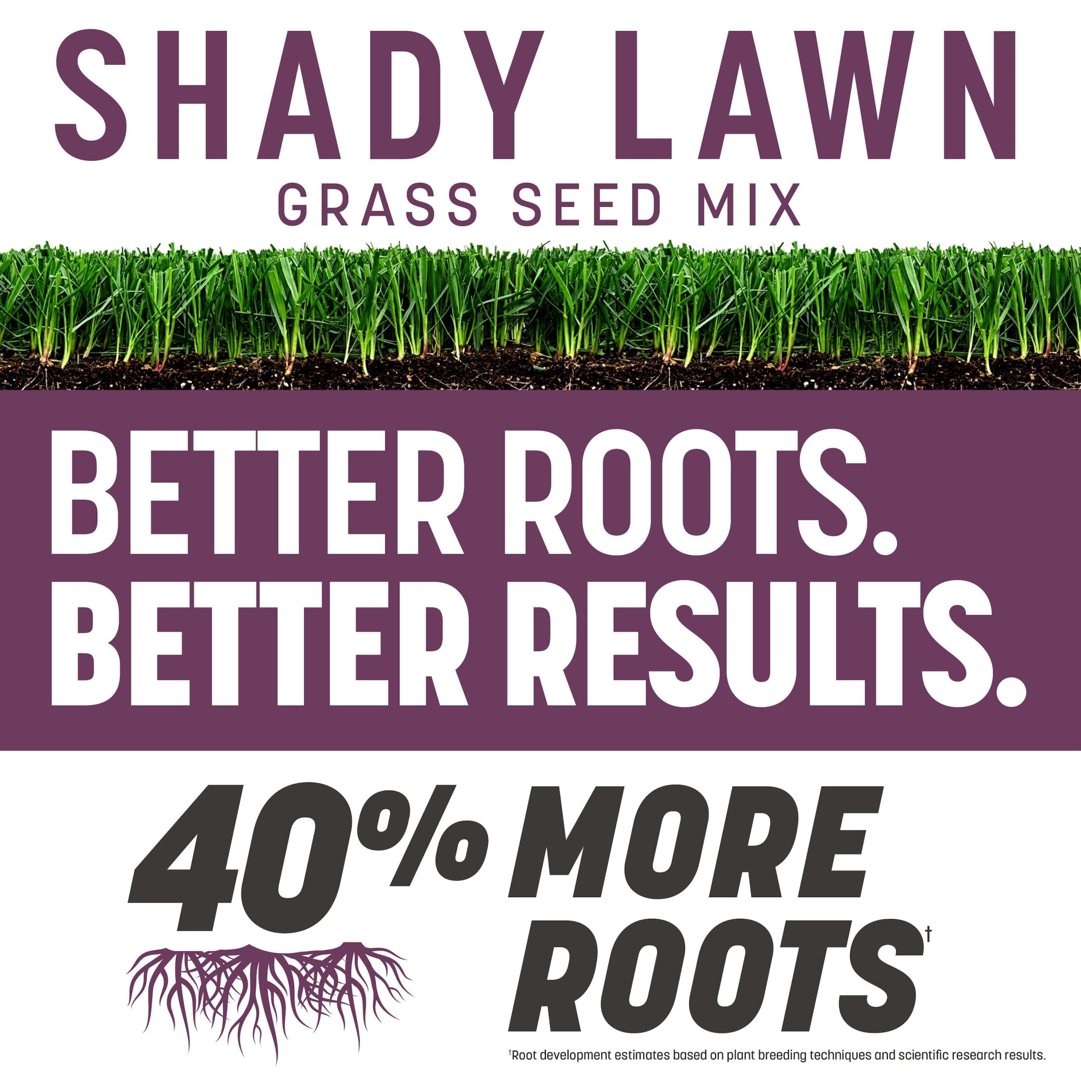 Pennington Rebels Shady Lawn Grass Seeds Mix for Moderate Shady Lawns, 20 lb.