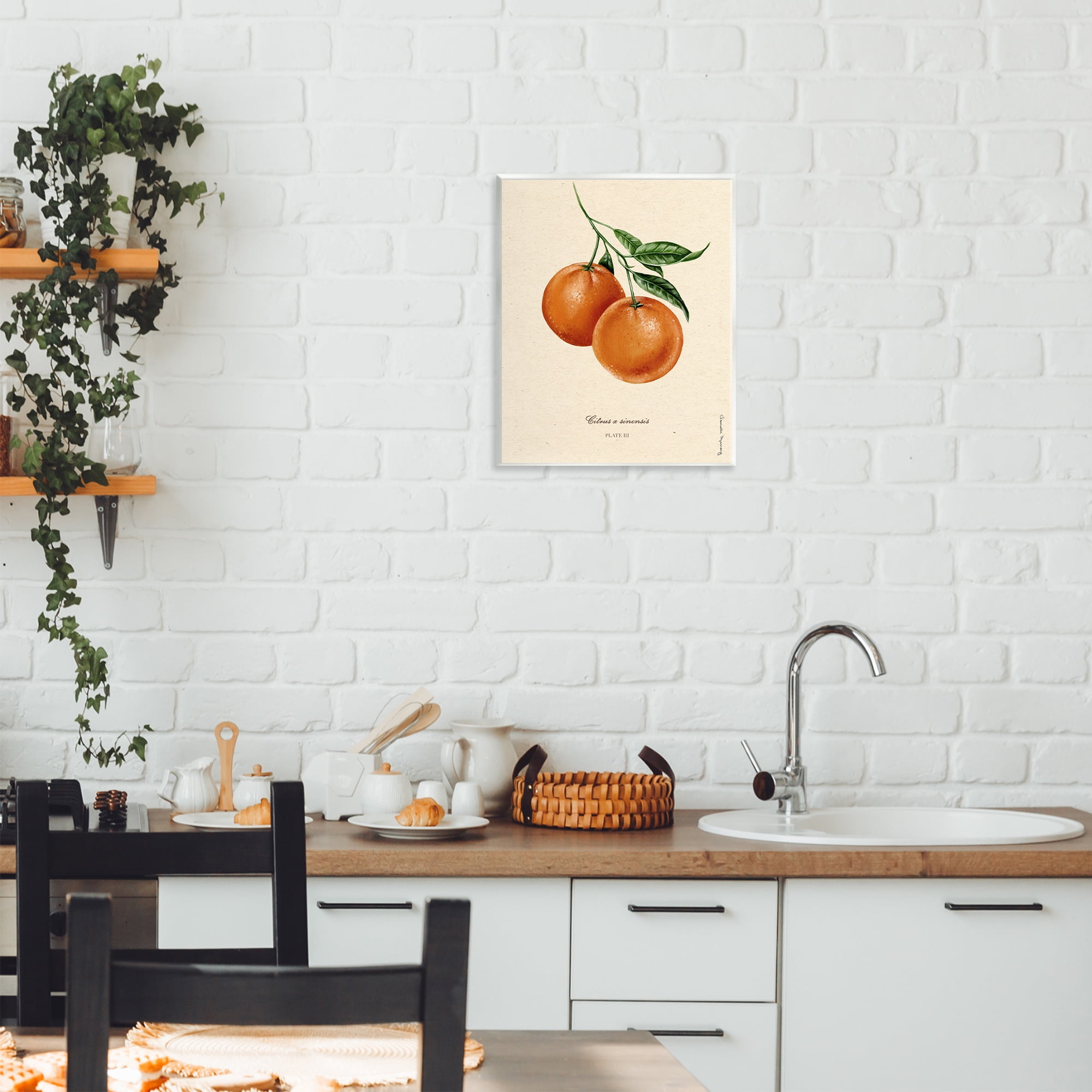 Stupell Industries Orange Fruit Portrait Wall Plaque Art, design by Danielle Murray