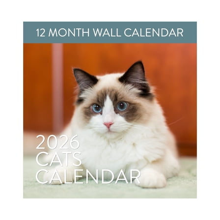 2026 Cat Wall Calendar