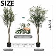 thumbnail image 5 of Colourtree 71" Tall Faux Olive Tree, Realistic Texture Potted Silk Artificial Olive Tree， Fake Olive Trees Indoor Outdoor for Home Office Living Room Bedroom Foyer Porch Decor - Pot Style 05, 5 of 7