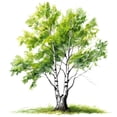 thumbnail image 3 of Adhesivos de pared 3D realistas con forma de árbol para sala de estar y dormitorio, 3 of 4