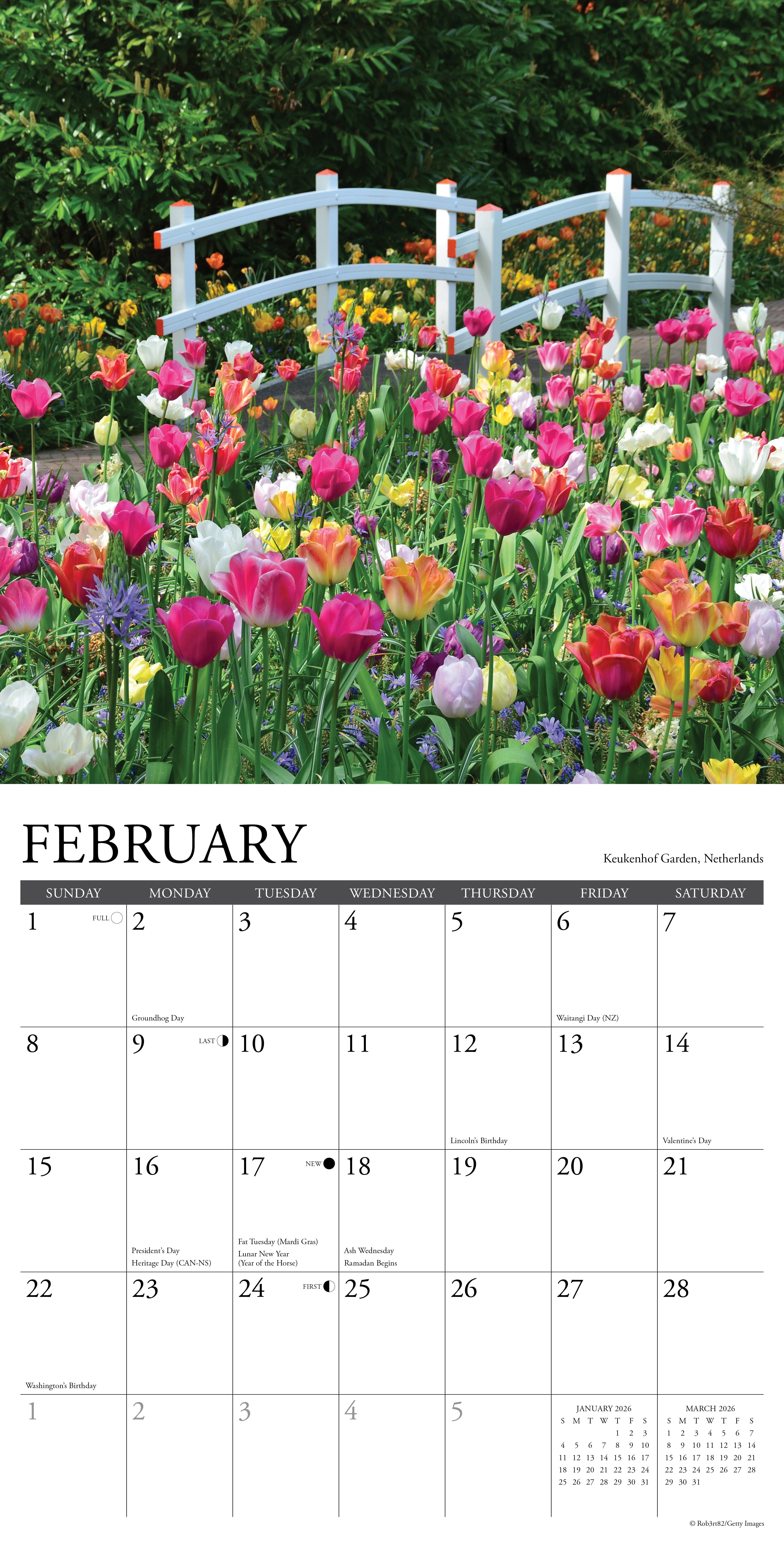 Garden View 2026 Wall Calendar, (Paperback)