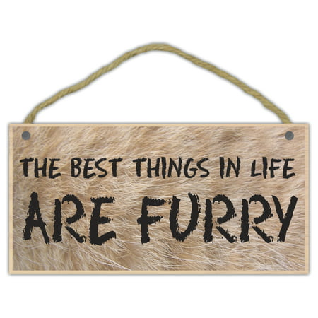 Wooden Decorative Pet Sign: The Best Things In Life Are Furry | Dogs, (Best Thing For Cat Allergies)