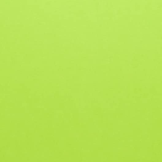Hamilco Colored Scrapbook Cardstock Paper 12x12 Card Stock Paper 65 lb Cover 25 Pack Pear Green