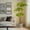 6FT(with 100 LED light), variant on Artificial Plants Indoor, 5FT/6FT Fake Black Olive Tree with 50 LED Lights Tall Fake Plants in Plastic Nursery Pot Fake Tree Artificial Trees for Home Decor Office Living Room