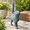 Single Cat, variant on Garden-statues Cats Kitten-couple Figurines Decor - Polysculpture For Outside Farmhouse Yard 8.9 * 8.3 10.9 Inch