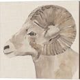 thumbnail image 2 of Great Art Now Bighorn Profile by Annie Warren 2 Piece Canvas Art Set Each 14W x 14H, 2 of 3