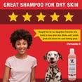 thumbnail image 5 of Warren London - Exfoliating Butter Wash Dog Shampoo - Pomegranate & Fig - 8 oz, 5 of 7