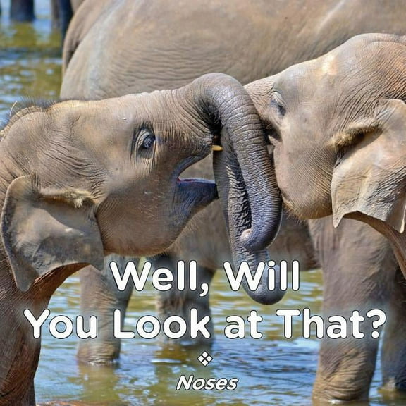 Well, Will You Look at That? Noses, (Paperback)