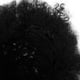 thumbnail image 5 of Peluca Afro para hombre, pelucas cortas negras rizadas, disfraz divertido de discoteca de los años 70, accesorio para fiesta de Halloween, pelo adulto Unisex, vestido elegante divertido, 5 of 5