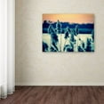 thumbnail image 3 of Trademark Fine Art 'Sunset on the Marsh 2' Canvas Art by PIPA Fine Art, 3 of 3