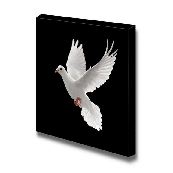 wall26 - Canvas Prints Wall Art - Dove Flying on Black Background | Modern Wall Decor/Home Decoration Stretched Gallery Canvas Wrap Giclee Print. Ready to Hang - 16" x 16"