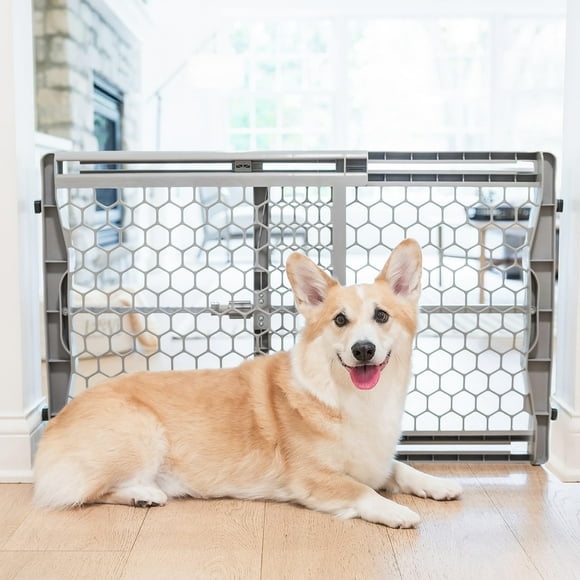 Carlson Pet Easy Fit Portable Pet Gate, Fits Openings 28-42&quot; Wide, 23&quot; Tall, Rubber Pads to Protect Walls, Durable Dog Gate for Doorways, Patented Pressure Mount Ensures Perfect