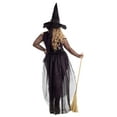 thumbnail image 2 of Women's Plus Size Midnight Violet Witch Costume, 2 of 3