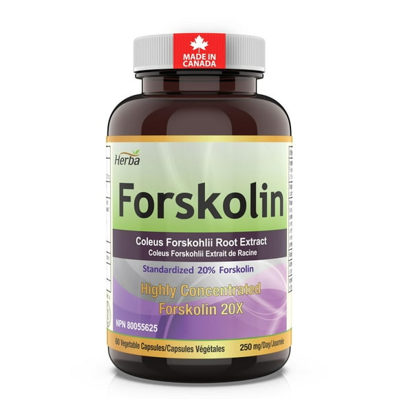 Herba Forskolin Extract Supplement – 60 Vegetable Capsules | 5000mg Per Day | Made in Canada