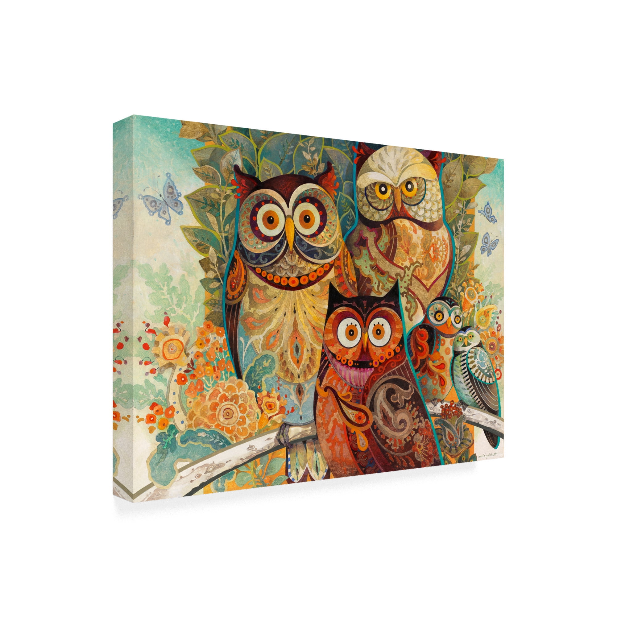 Trademark Fine Art 'Owls On Floral Branch' Canvas Art by David Galchutt