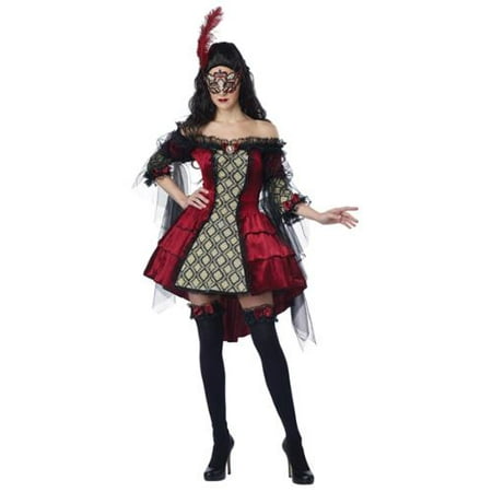Mysterious Masquerade Victorian Dress Costume Adult