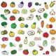 thumbnail image 3 of Fruit and Vegetable Stickers for Kids 50Pcs Vegetables Waterproof Vinyl Decals for Water Bottles Laptop Refrigerator Luggage Computer Mobile Phone, 3 of 4