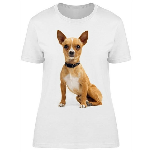 Pretty Chihuahua With A Collar T-Shirt Women -Image by Shutterstock, Female XX-Large