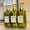 Green, variant on 3 Pack Large Rectangular Shampoo Bottles - 21.98 oz with Labels