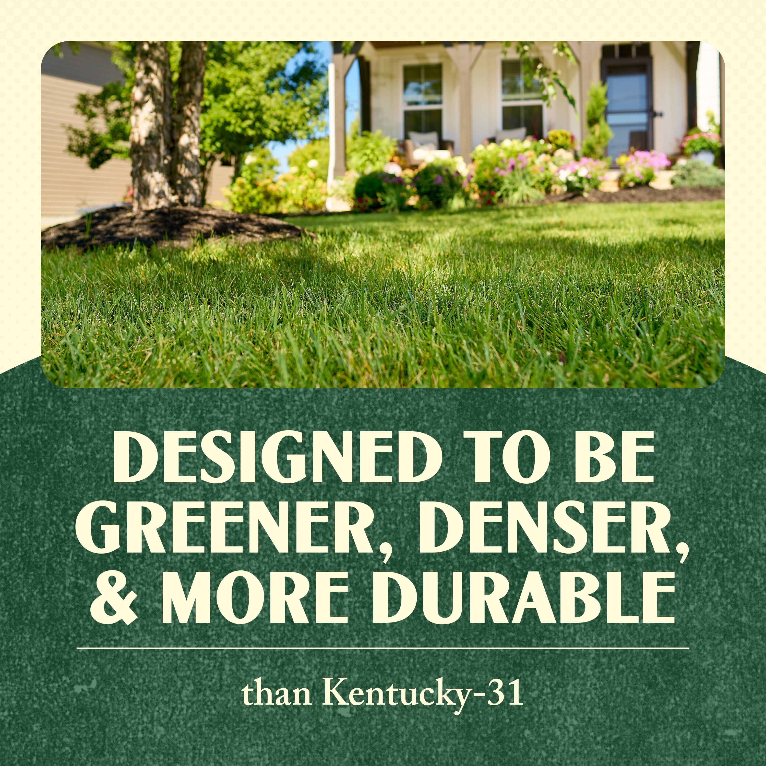 Scotts Heritage Grass Seed Tall Fescue Mix, 7 lbs.