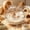 🌺clear_Base#143, variant on Hamster Bathroom, Small Animal Sand Bath House and Litter Box 2 in 1 Hideout, Plastic Cage Potty Container, Detachable Easy Clean Design