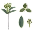 thumbnail image 2 of Artificial Greenery Stems,Silk Green Leaves Fake Ficus Garland Spray Plants Faux Greenery Decoration,Imitation Branch with Leaf Short Branch Diy Leaf Decoration Simulation Flower Arrangement, 2 of 6
