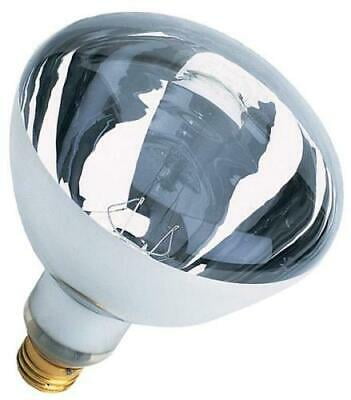 Feit Electric 250R40/1 250-Watt Incandescent R40 Bulb 