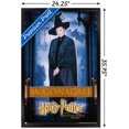 thumbnail image 3 of Harry Potter and the Philosopher's Stone - McGonagall Wall Poster, 22.375" x 34", Framed, 3 of 3