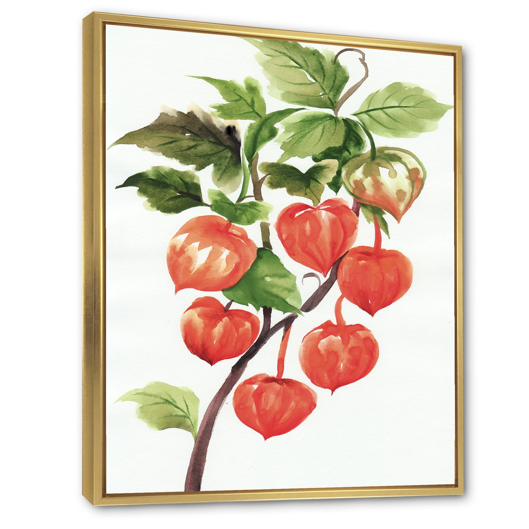 Designart 'A Red Physalis Branch' Traditional Framed Canvas Wall Art Print