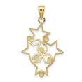 thumbnail image 3 of 14K Two Tone Polished Gold Sparkle Cut Star Cluster Pendant Necklace Measures 27.4x17mm Wide - Pendant for Women, 3 of 3