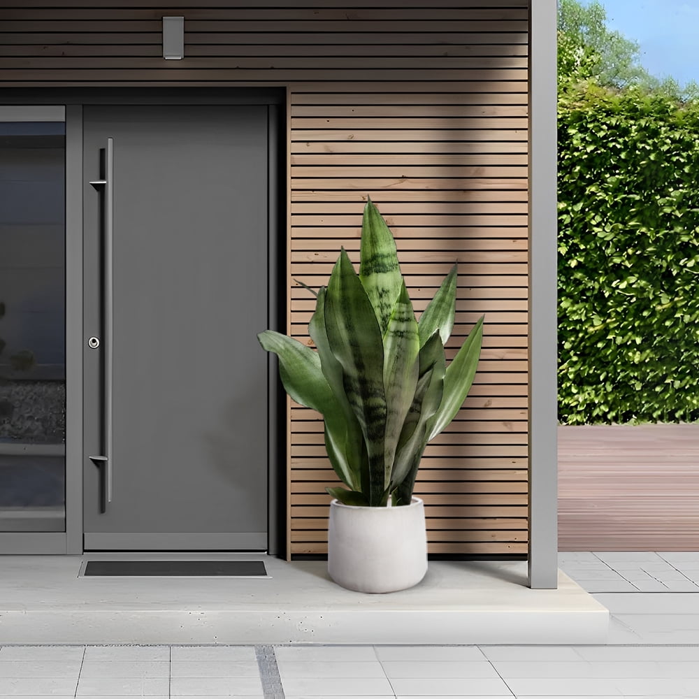 mdj pottery Set of 4 White Ceramic Brushed Texture Planters with Drainage Holes, 6 to 14 inch Indoor Outdoor Pots for Orchids, Succulents and Cacti