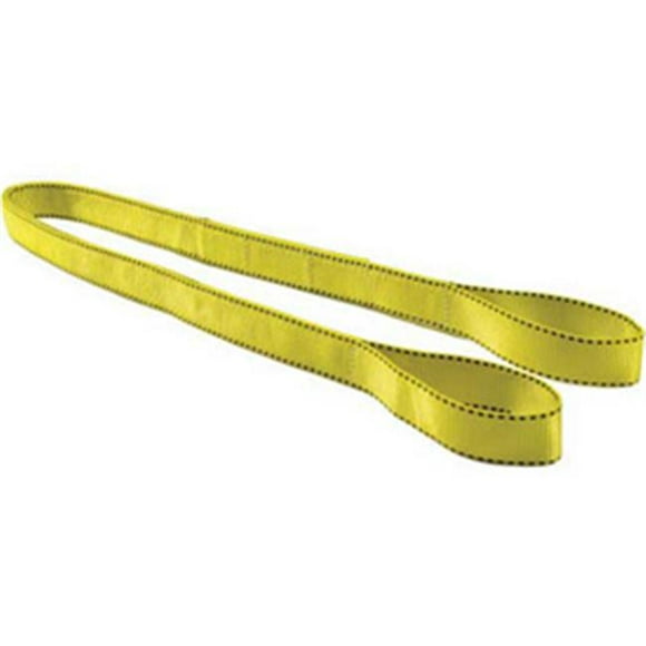 Liftex 439-EE292X10PD 2 in. x 10 ft. Eye & Eye Liftex Pro-Edge