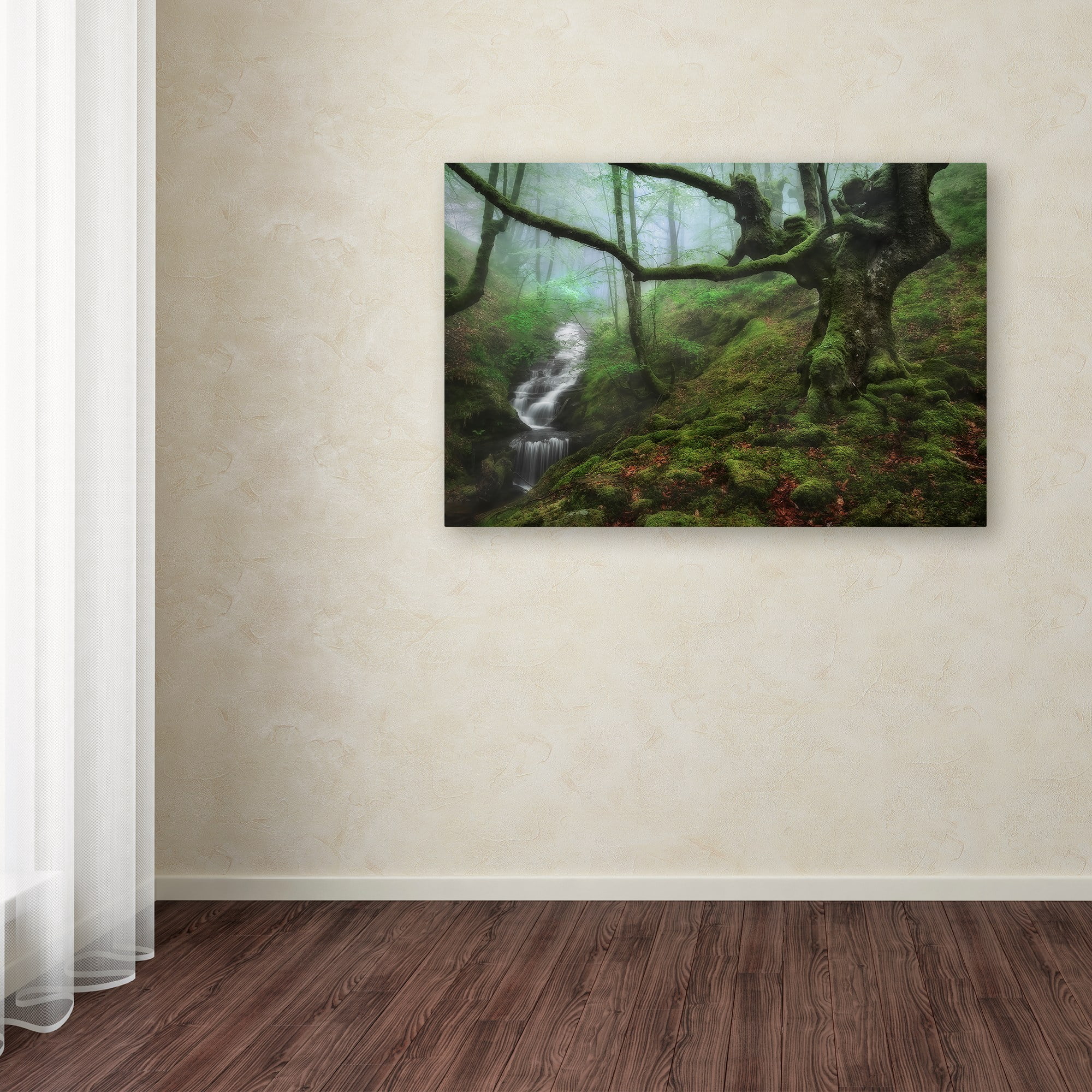 Trademark Fine Art 'The Enchanted Forest' Canvas Art by Fran Osuna