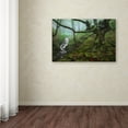 thumbnail image 4 of Trademark Fine Art 'The Enchanted Forest' Canvas Art by Fran Osuna, 4 of 4