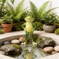 thumbnail image 3 of Honmine Resin Garden Statues for Patio, Cute Frog Figurine for Outdoor Yard, Pond Decoration, Small Animal Sculpture for Lawn, Flower Bed, Balcony, 3 of 5