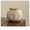 s3, variant on Elegant Ceramic Storage Jar with Floral Lid Decorative Vase Home Decor Aromatherapy Diffuser Dried Flower Container for Living Room Kitchen Office Modern Traditional Interiors