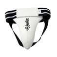 thumbnail image 1 of Lipstore Protecteur d'Aine pour Boxe Taekwondo Protection d'Aine pour Exercice de Sparring Sanda L L, 1 of 8