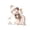 O, variant on Pink Snowman Letter Christmas Tree Ornament - 2D Flat Acrylic Decoration for Holiday Seasons, Cute Pendant for Christmas Trees & Home Decor, Ideal for Independent Store Displays & Gifting, 3.1*3in, E