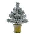 thumbnail image 1 of Decoración navideña de escritorio BLESIY árbol de Navidad en miniatura 45cm PETG, 1 of 8