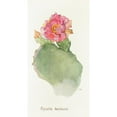 thumbnail image 3 of Margaret Armstrong 9x14 Black Modern Framed Museum Art Print Titled - Opuntia Basilaris (1915), 3 of 5