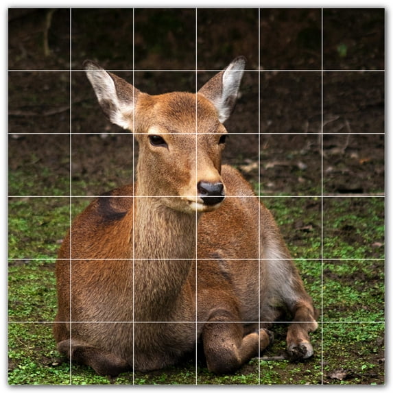Picture-Tiles.com: Deer Ceramic Tile Wall Mural WAL500469-66S. 25.5"W x 25.5"H using (36) 4.25" x 4.25" Ceramic Tiles-Satin Finish