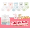 thumbnail image 2 of 5 Pairs Toddler Baby Girl Boy Infant Kids Socks, Summer Cute Animal Soft Cotton Thin Mesh Socks, 0~5T, 2 of 7