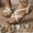 Black, variant on TrendOFT Womens Footbed Sandals Casual Vacation Beach Strappy Beach Shoes Shoes Summer Sandale Plateforme Femme Gold 39