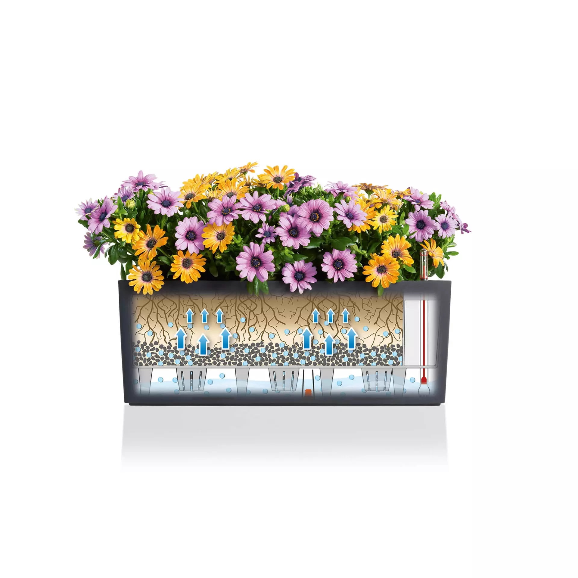 Lechuza USA 20" White Rectangular Balconera Outdoor Window Planter