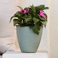 thumbnail image 2 of Bloem Arbor 6" Indoor Metal Cachepot - Decorative Planter with Powder-Coated Finish, Removable Drain Plug, Basil, 2 of 8