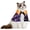 Pumpkin Costume, variant on Cat Santa Hat Scarf Small Dog Christmas Costume Xmas Outfit Santa Claus Hat with Red Muffler for Kitten, Doggy, Rabbit, Statue, Toys Decoration